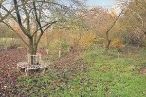 Woodland- click for photo gallery